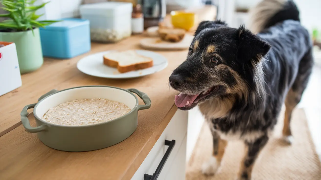 Feeding Oatmeal to Dogs: A Comprehensive Guide