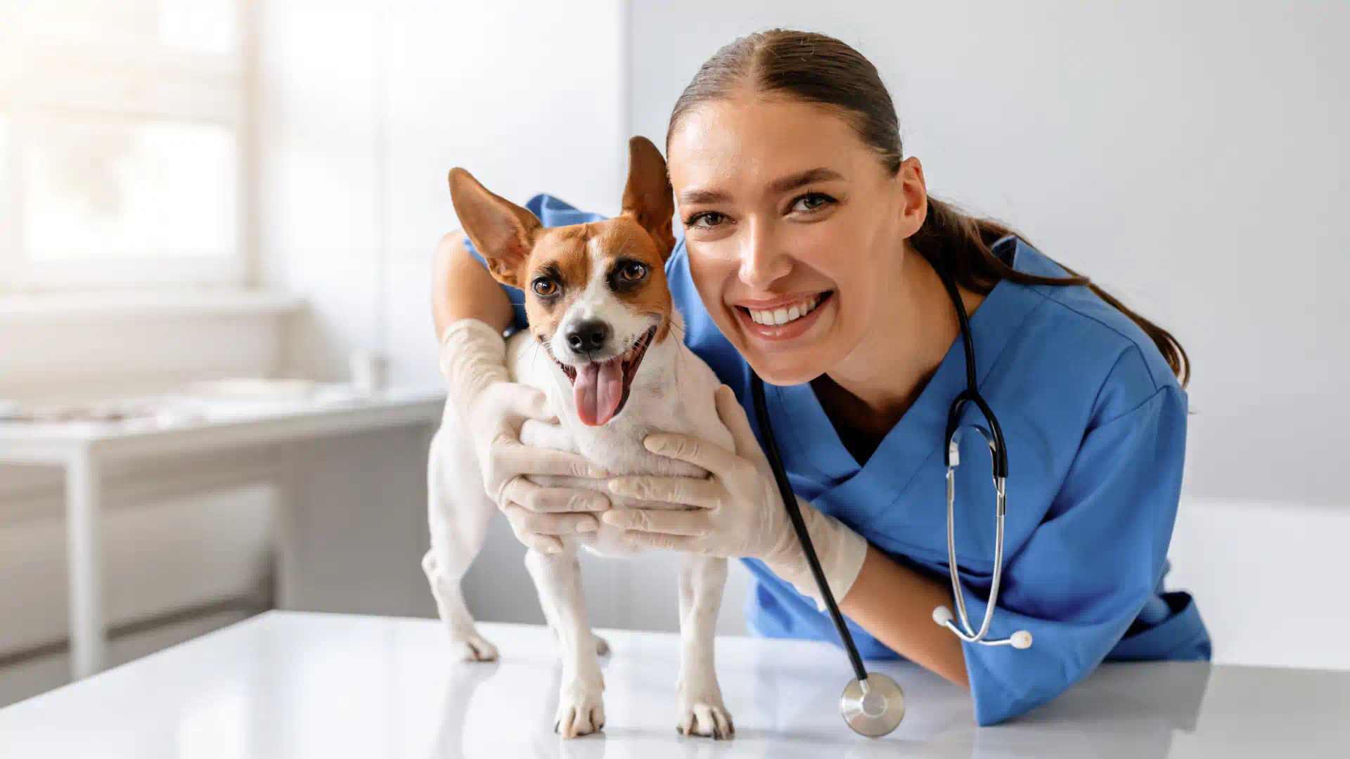 The Role of Urine Tests in Pet Health Diagnostics