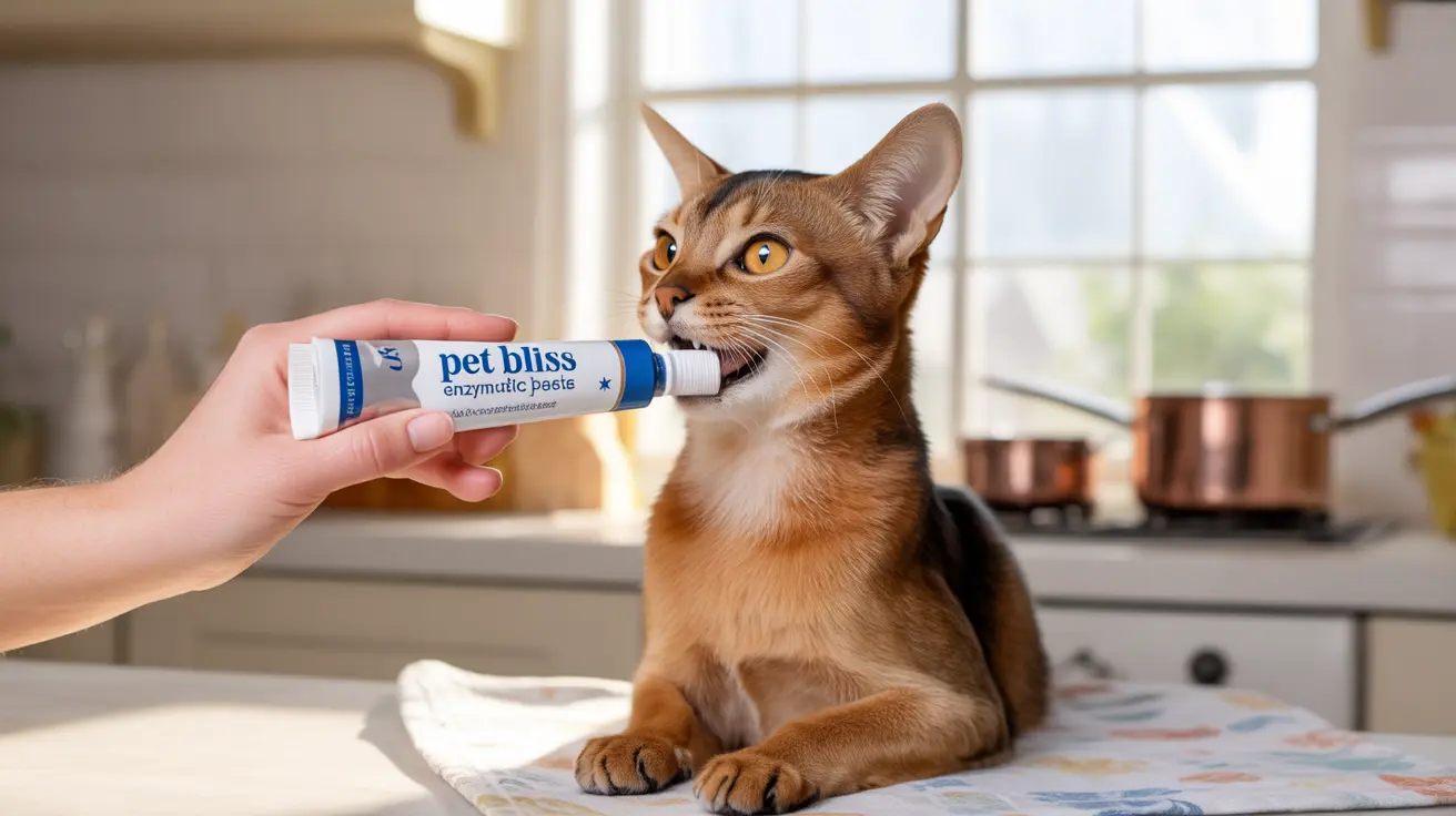 Why Does My Cat's Breath Smell? Understanding Common Causes and Solutions