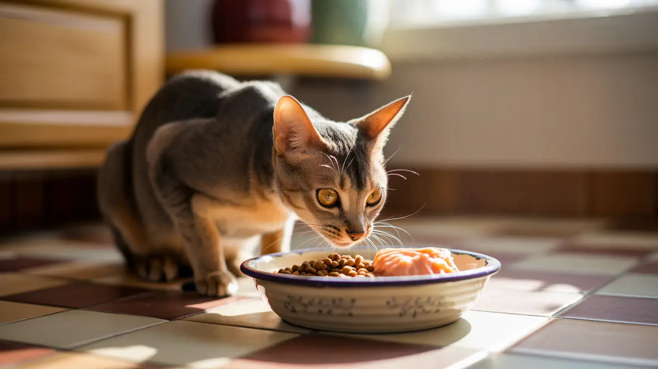 How to Transition Your Cat from Dry Food to Canned Food: A Complete Guide
