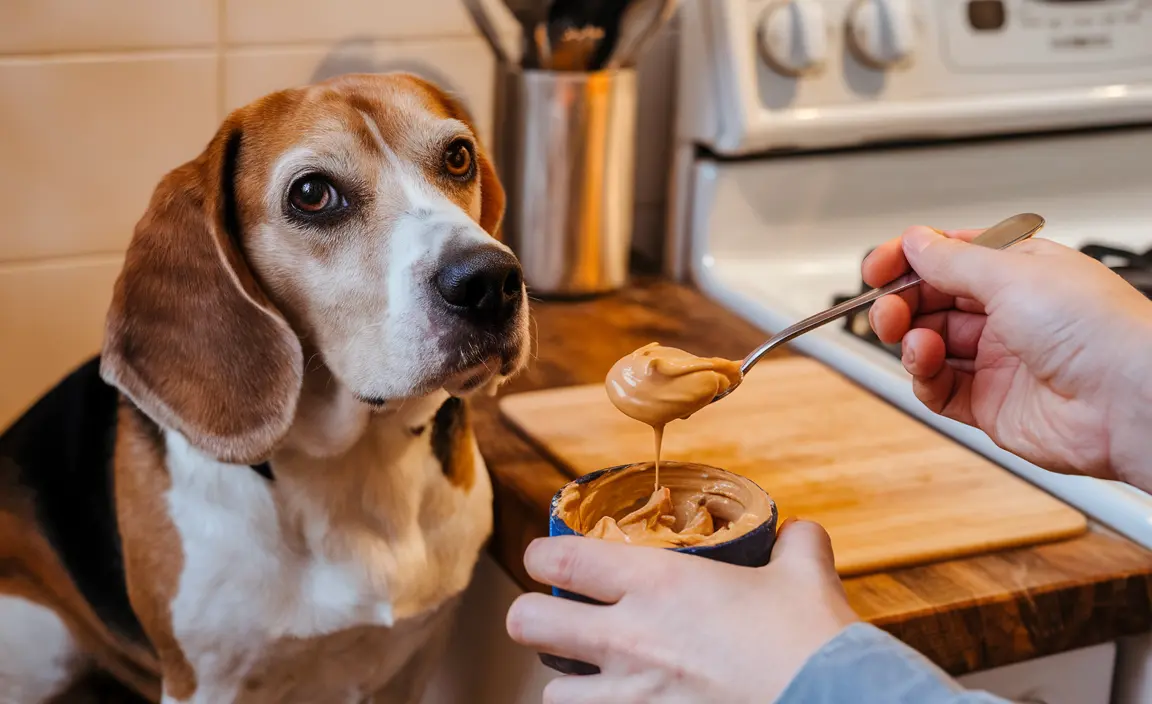 Can Dogs Have Chunky Peanut Butter? A Comprehensive Safety Guide