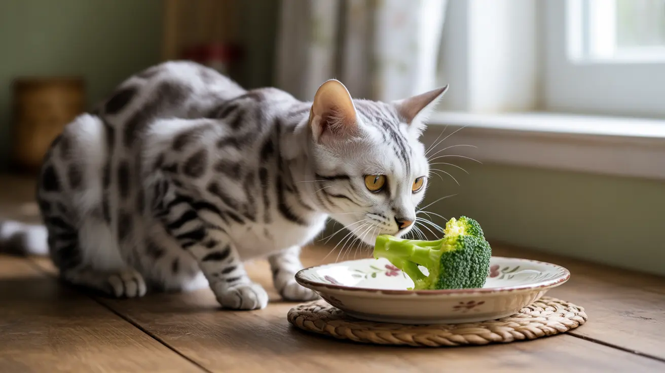 Sécurité et bienfaits nutritionnels du brocoli pour les chats