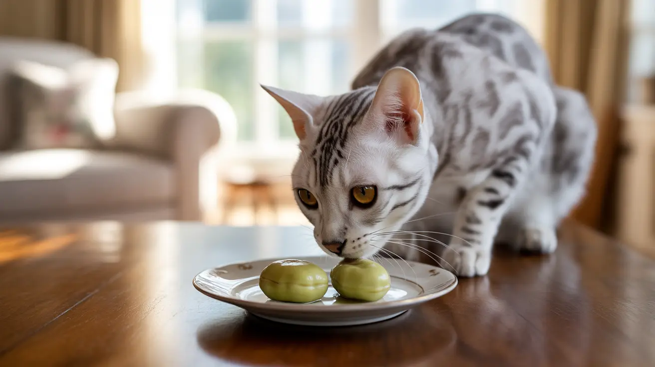¿Los gatos pueden comer habas?