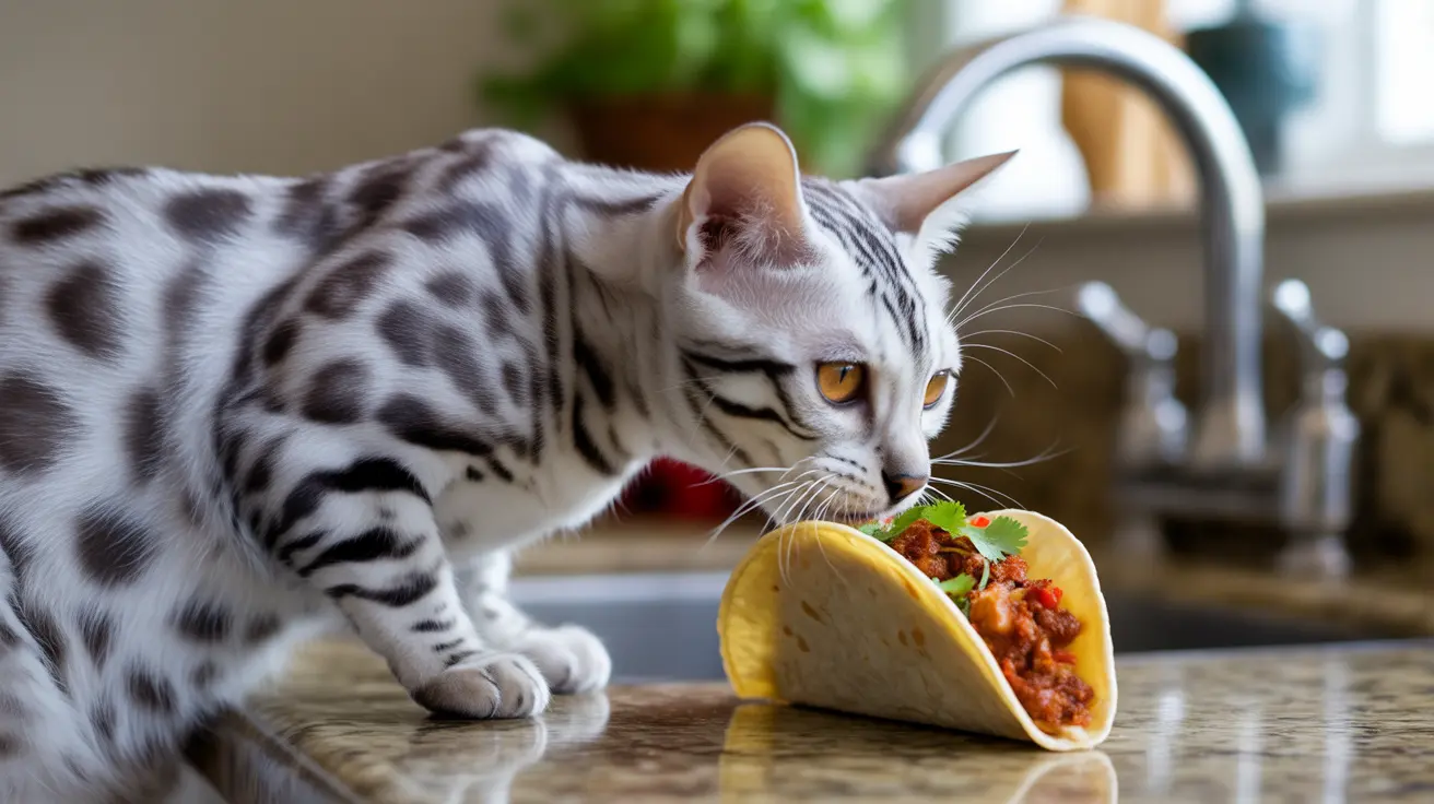 Can Cats Taste Spicy Food? Understanding Feline Taste Perception