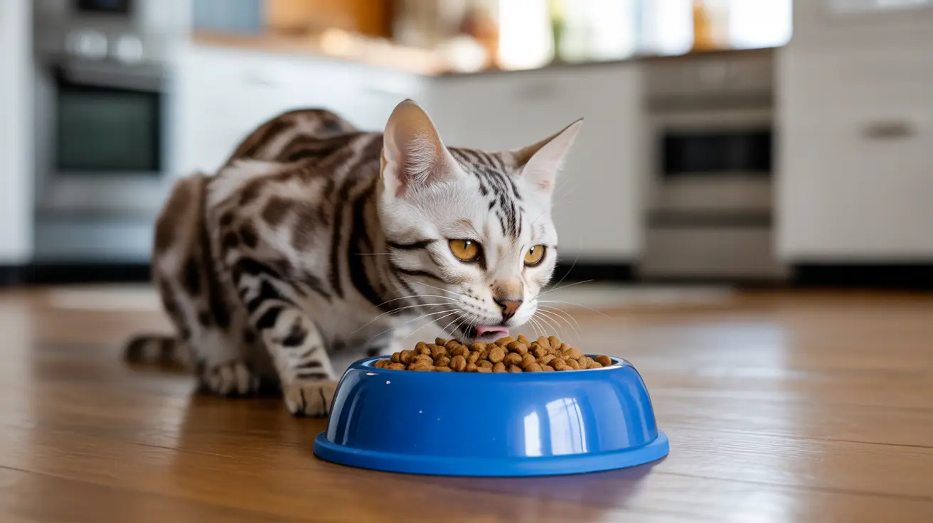 Why Does My Cat Eat So Fast? Understanding and Solving Rapid Eating in Cats