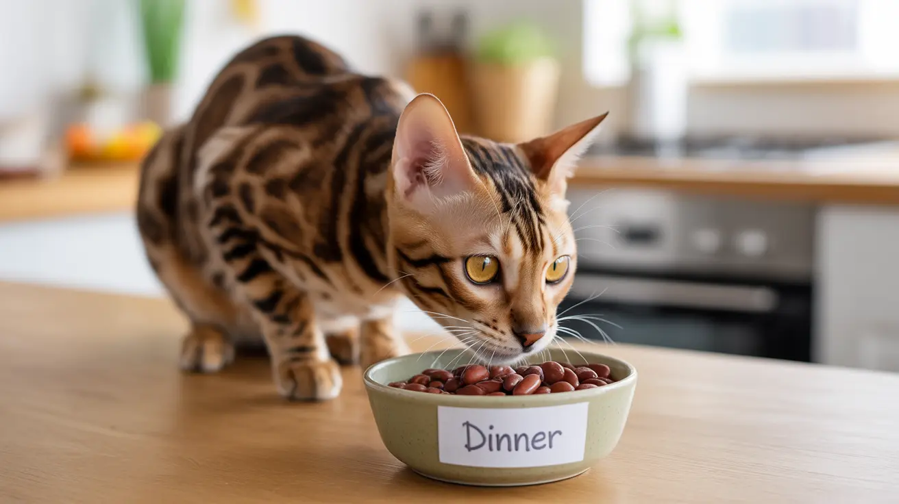 Can Cats Eat Kidney Beans? A Complete Guide to Safety and Nutrition