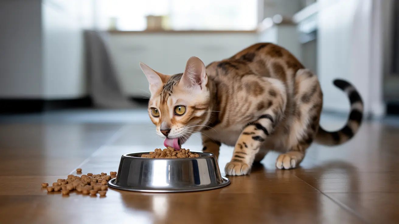 猫のウェットフードとドライフード、どちらが良い？徹底比較と栄養ガイド