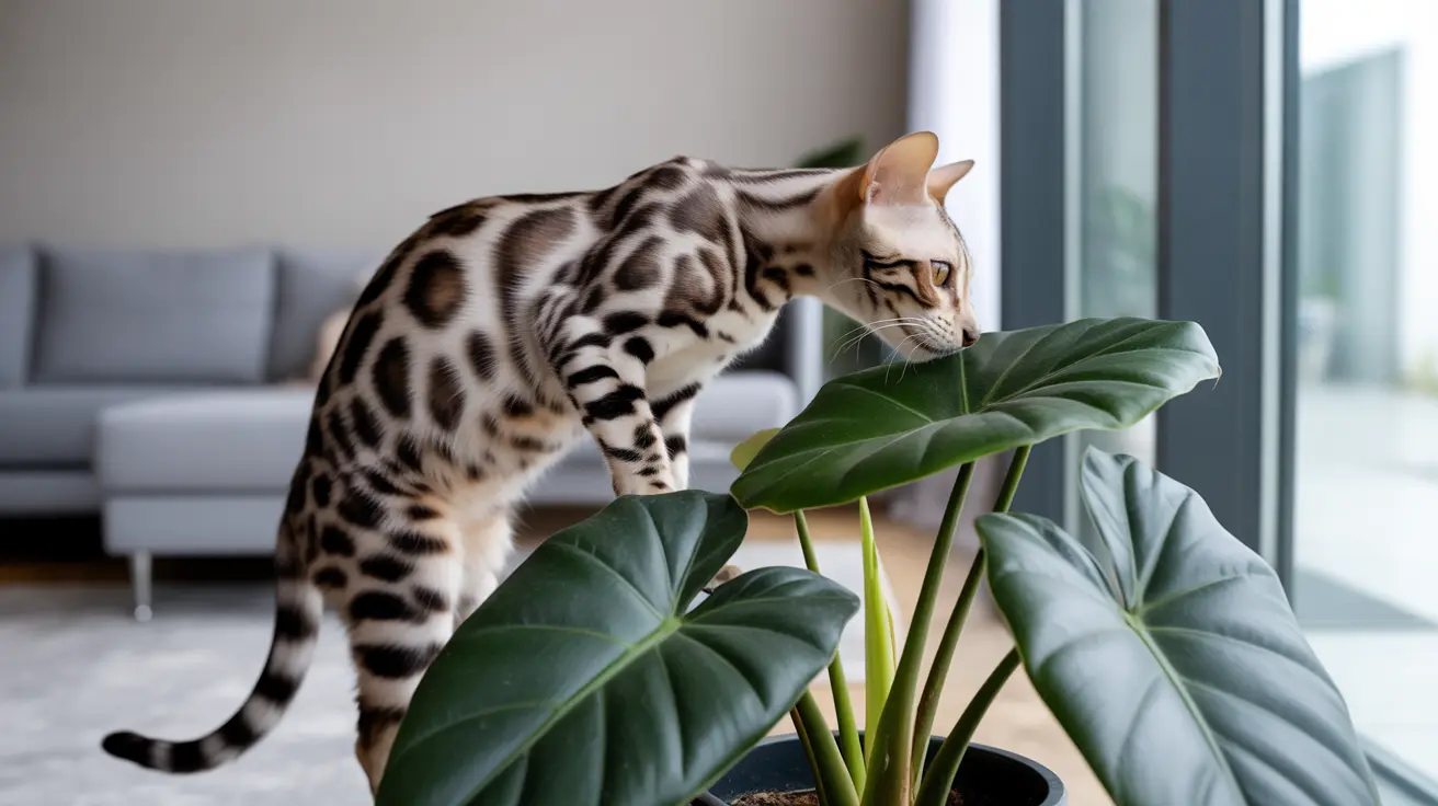 Alocasia Toxic to Cats: Understanding the Dangers of Elephant Ear Plants