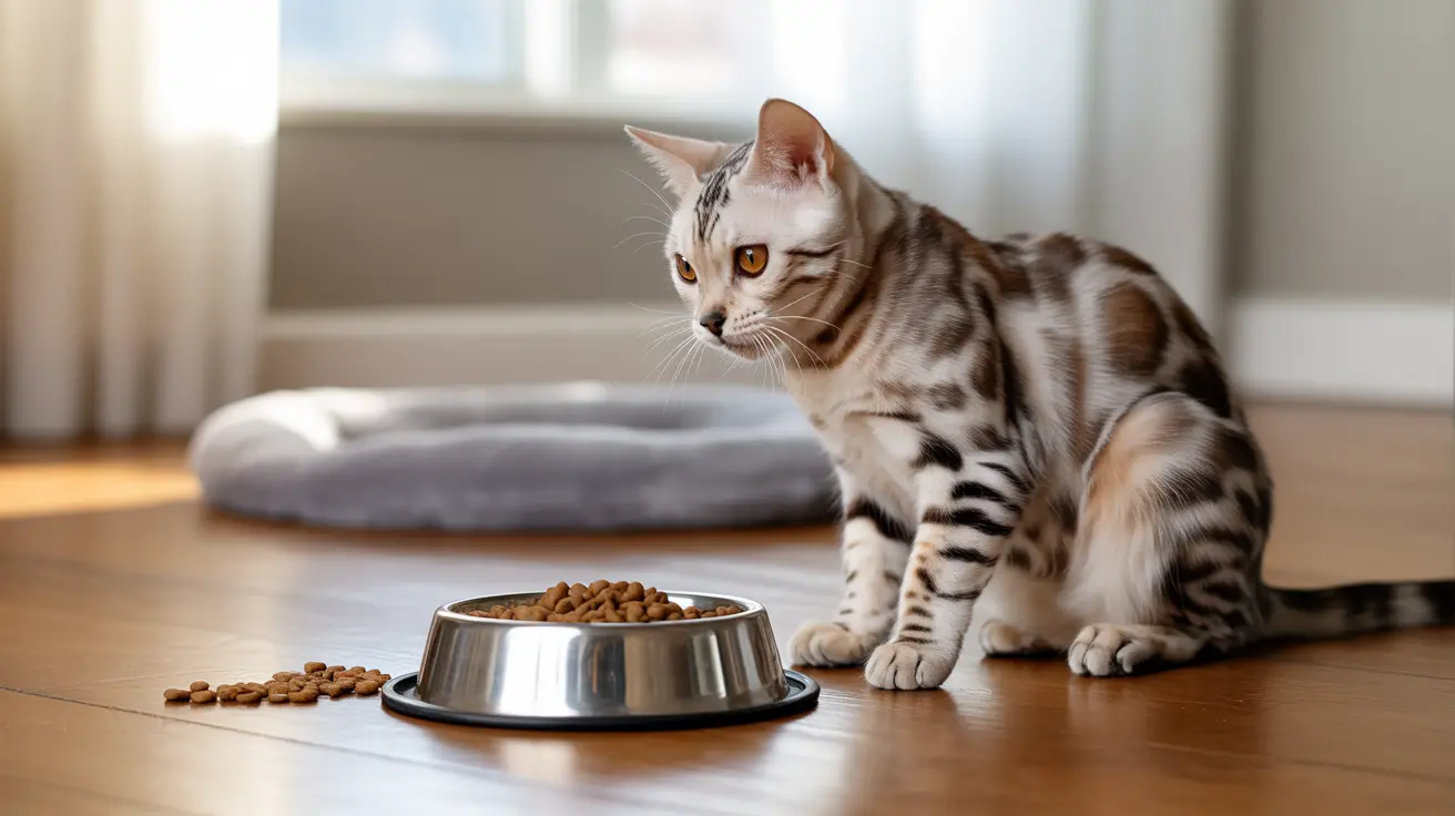 Mi gato pide comida constantemente: causas y soluciones