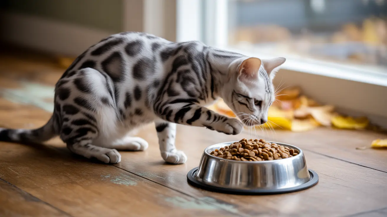 Why Does My Cat Bury Her Food? Understanding Natural Feline Instincts