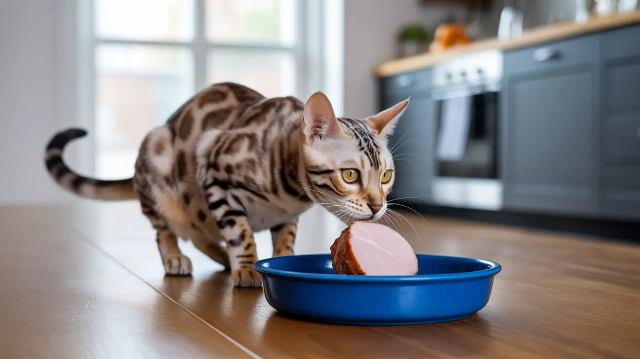 Can Cats Eat Ham? A Complete Guide to Safety and Risks