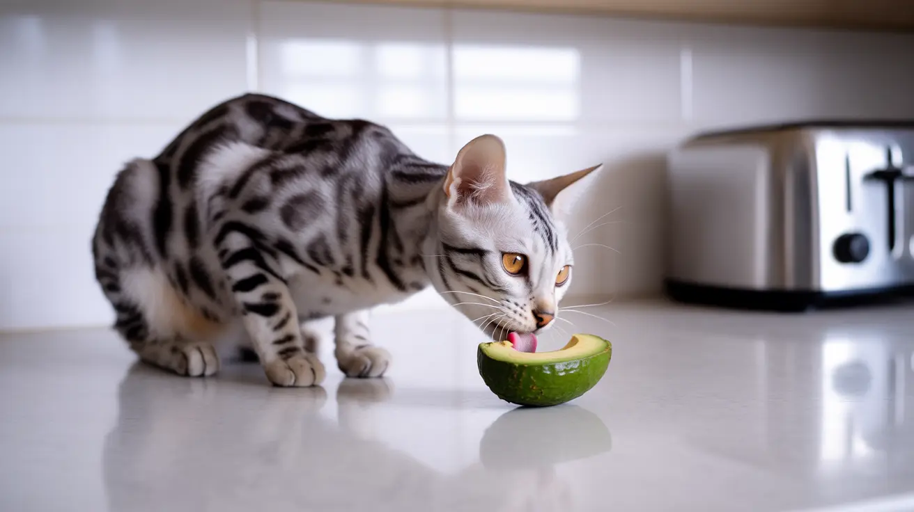 ¿Los gatos pueden comer aguacate?
