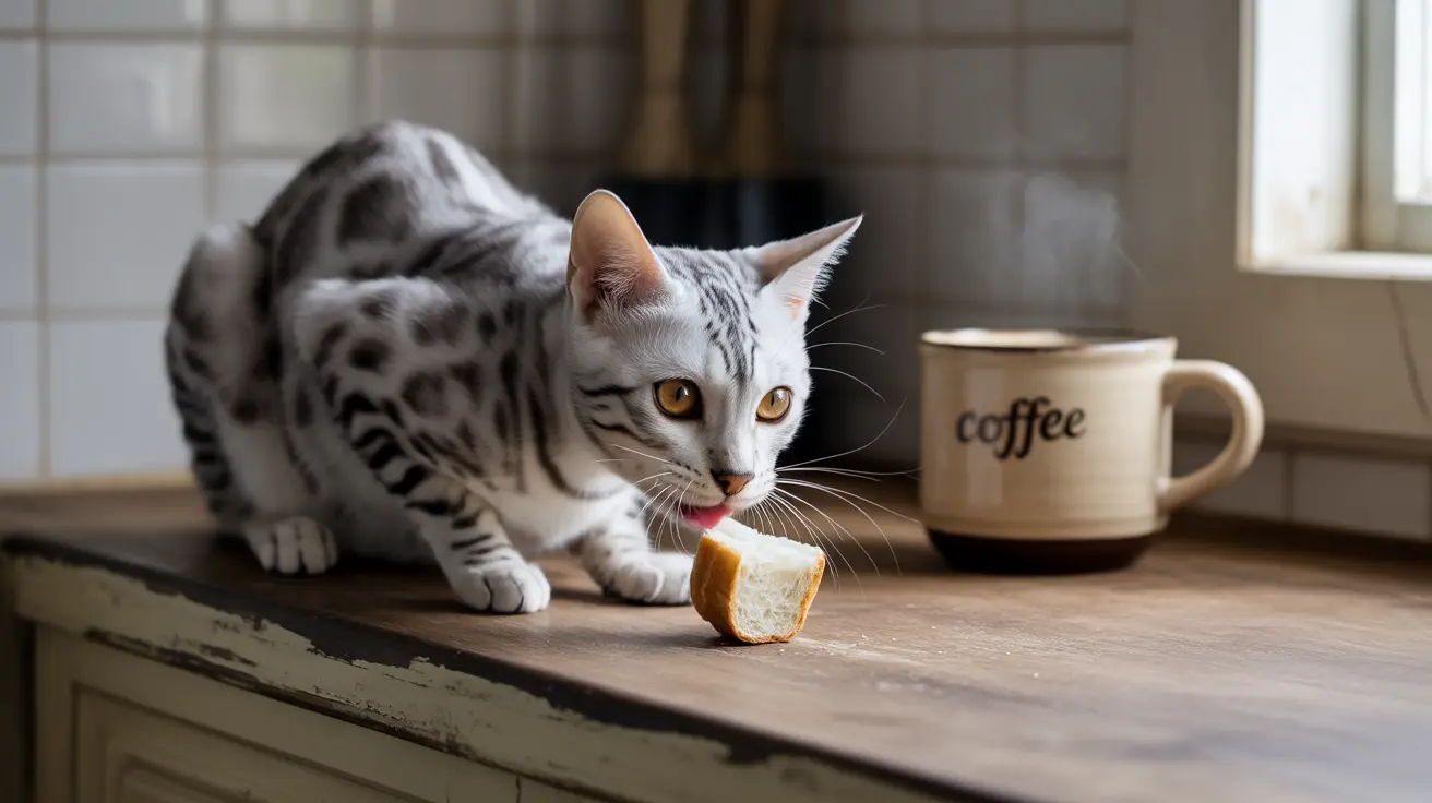 Chat peut-il manger du pain : dangers, risques et alternatives