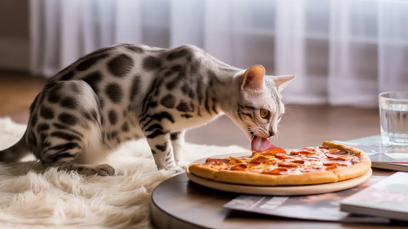 Por qué la pizza es mala para gatos