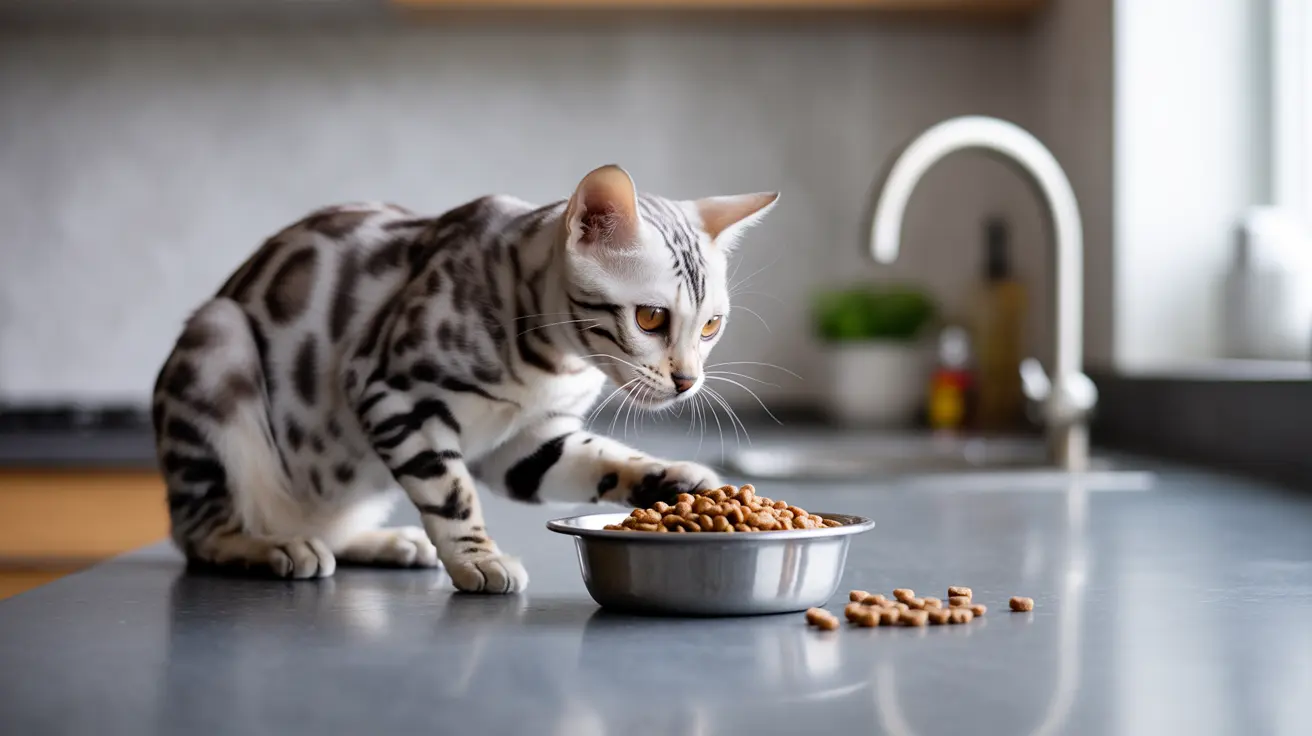 Comprendre la controverse autour des croquettes