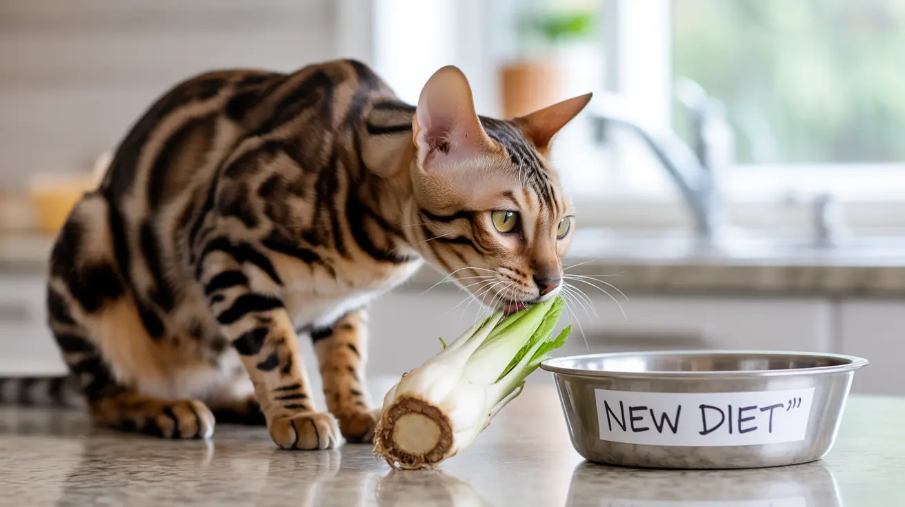 Raíz de achicoria para gatos: beneficios y cómo usarla