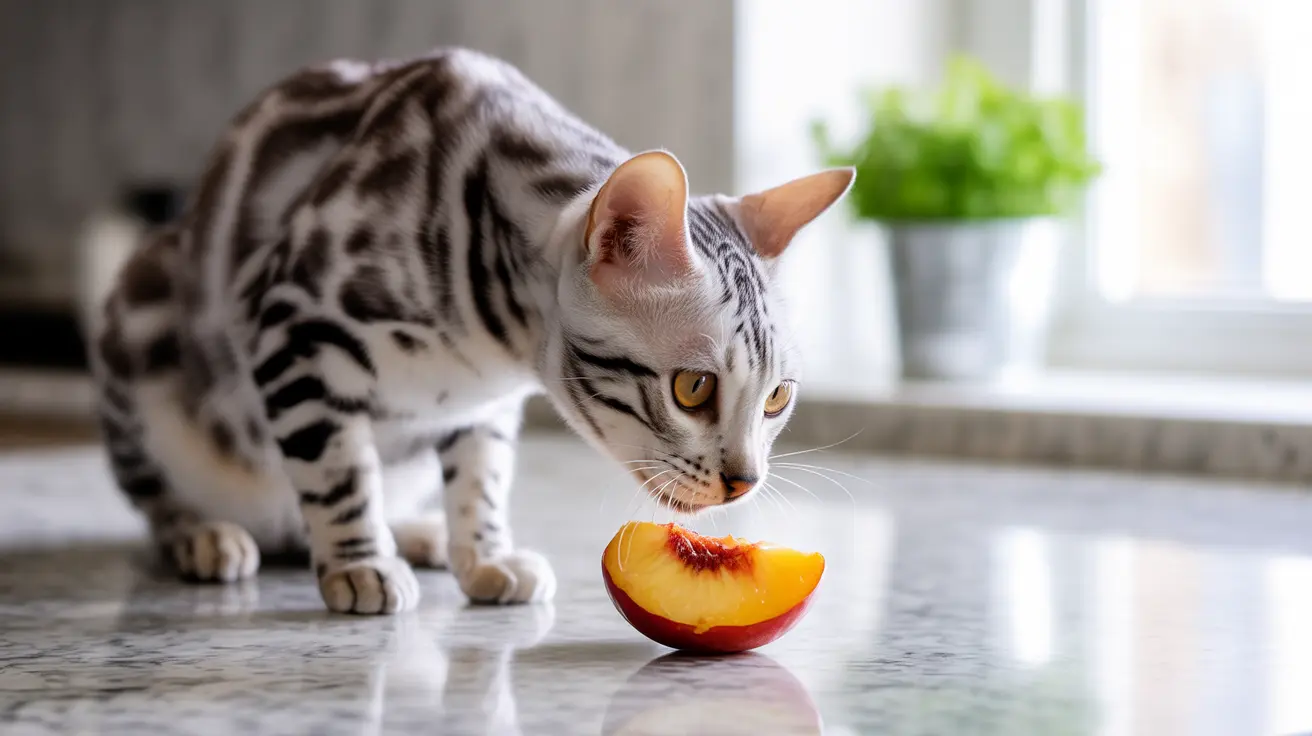 猫はネクタリンを食べても大丈夫？安全性とリスク徹底ガイド