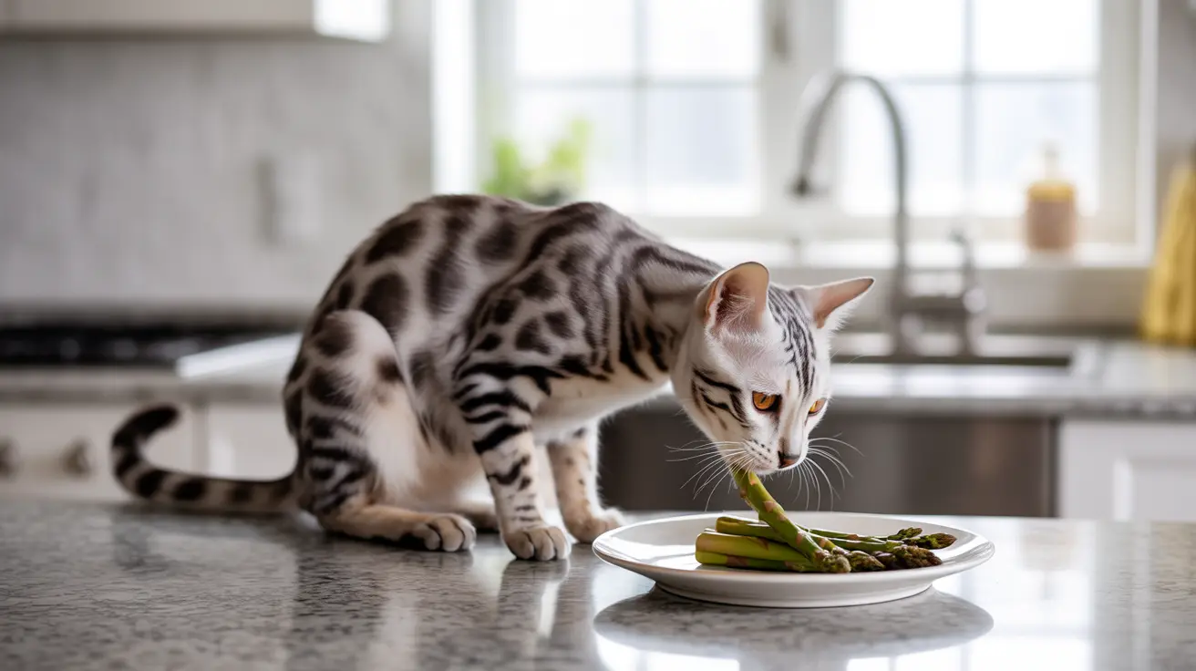 猫にアスパラガスを与えても大丈夫？安全性とメリット完全ガイド