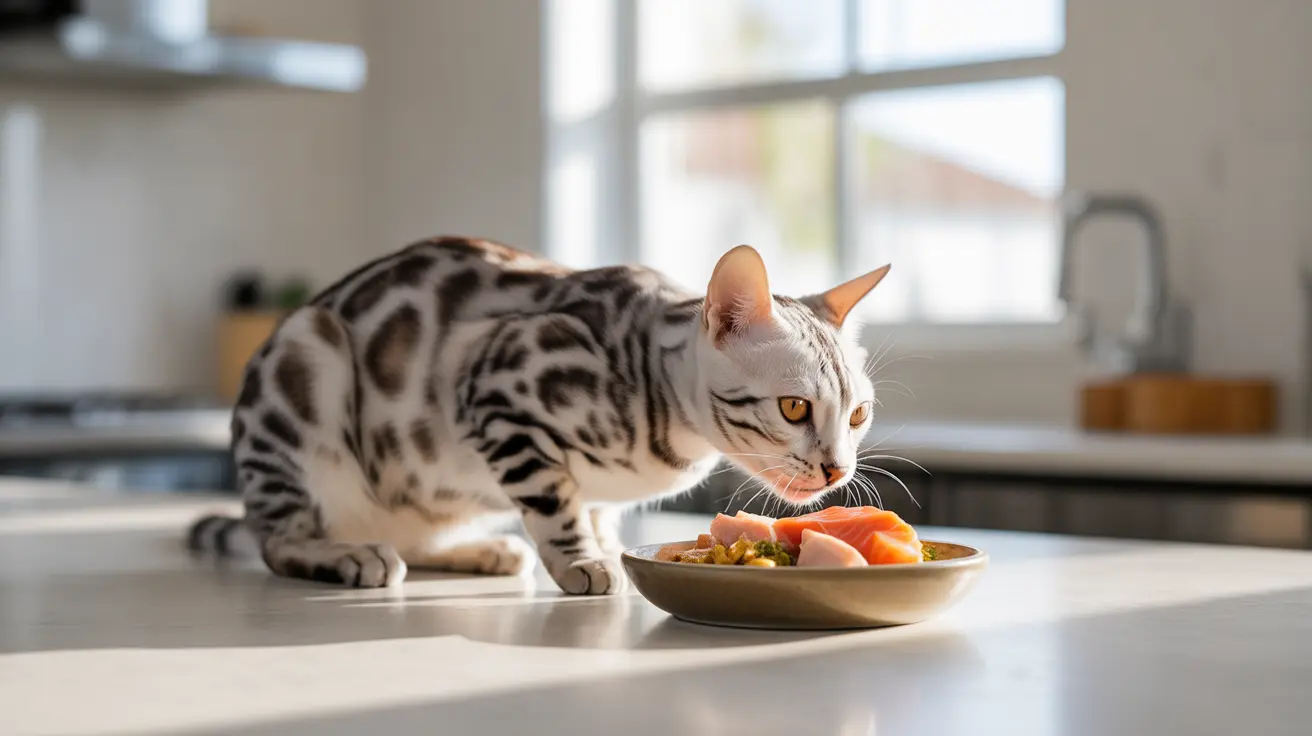 猫に必要な必須栄養素：完全な猫の栄養ガイド