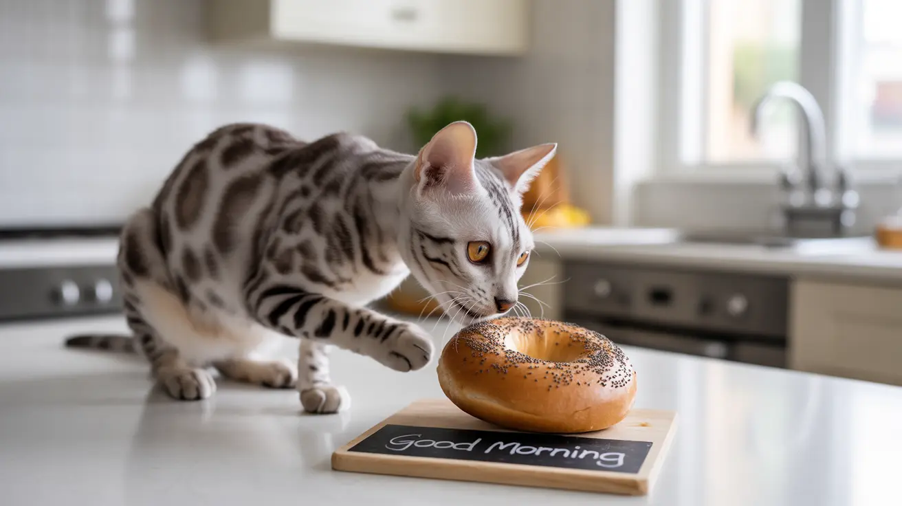 Graines de pavot et chats : dangers, toxicité et réactions à connaître