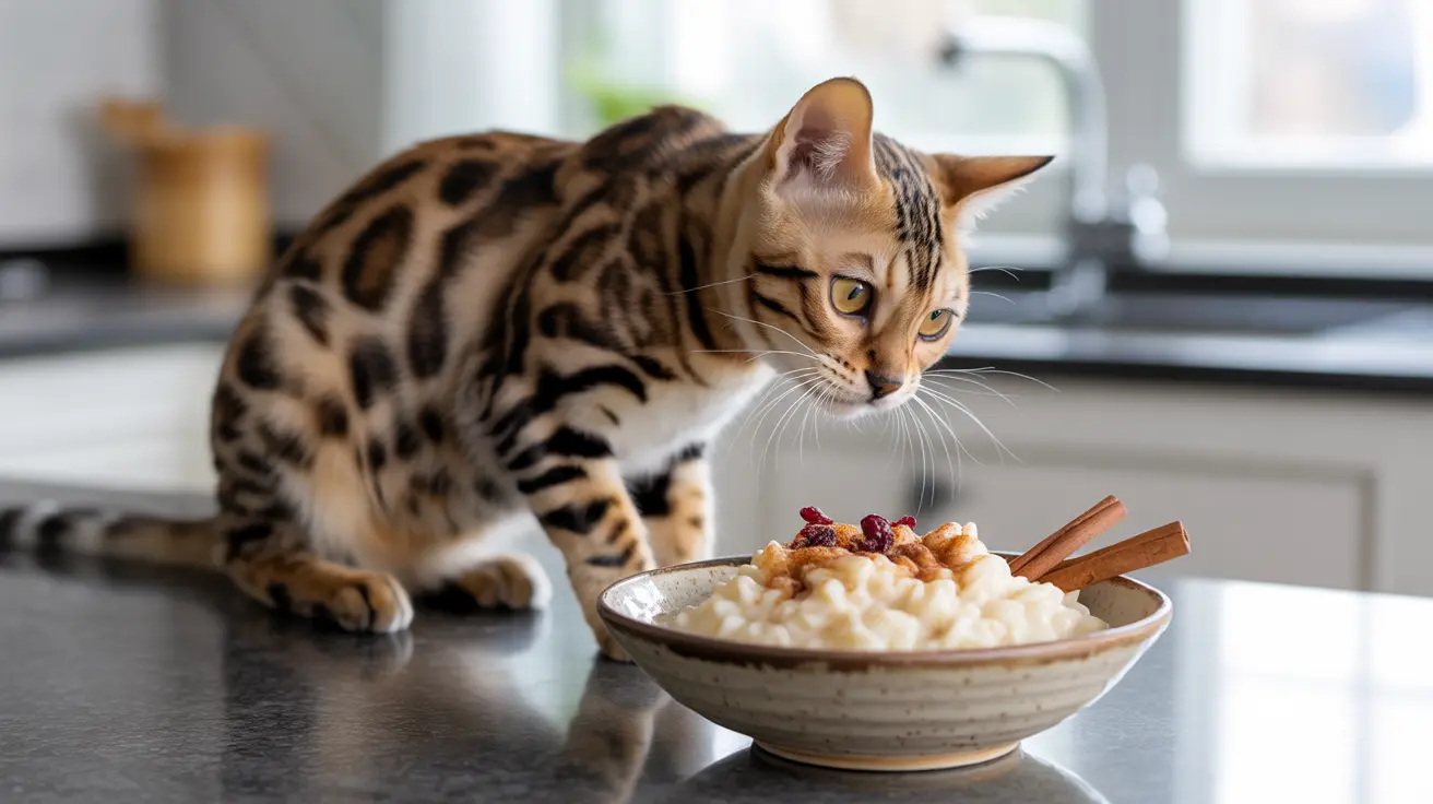 Pourquoi le riz au lait est-il dangereux pour les chats