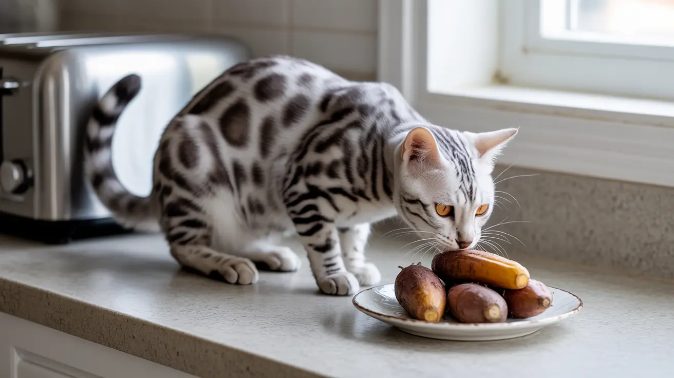 Can Cats Eat Yams? A Complete Guide to Feeding Root Vegetables to Felines