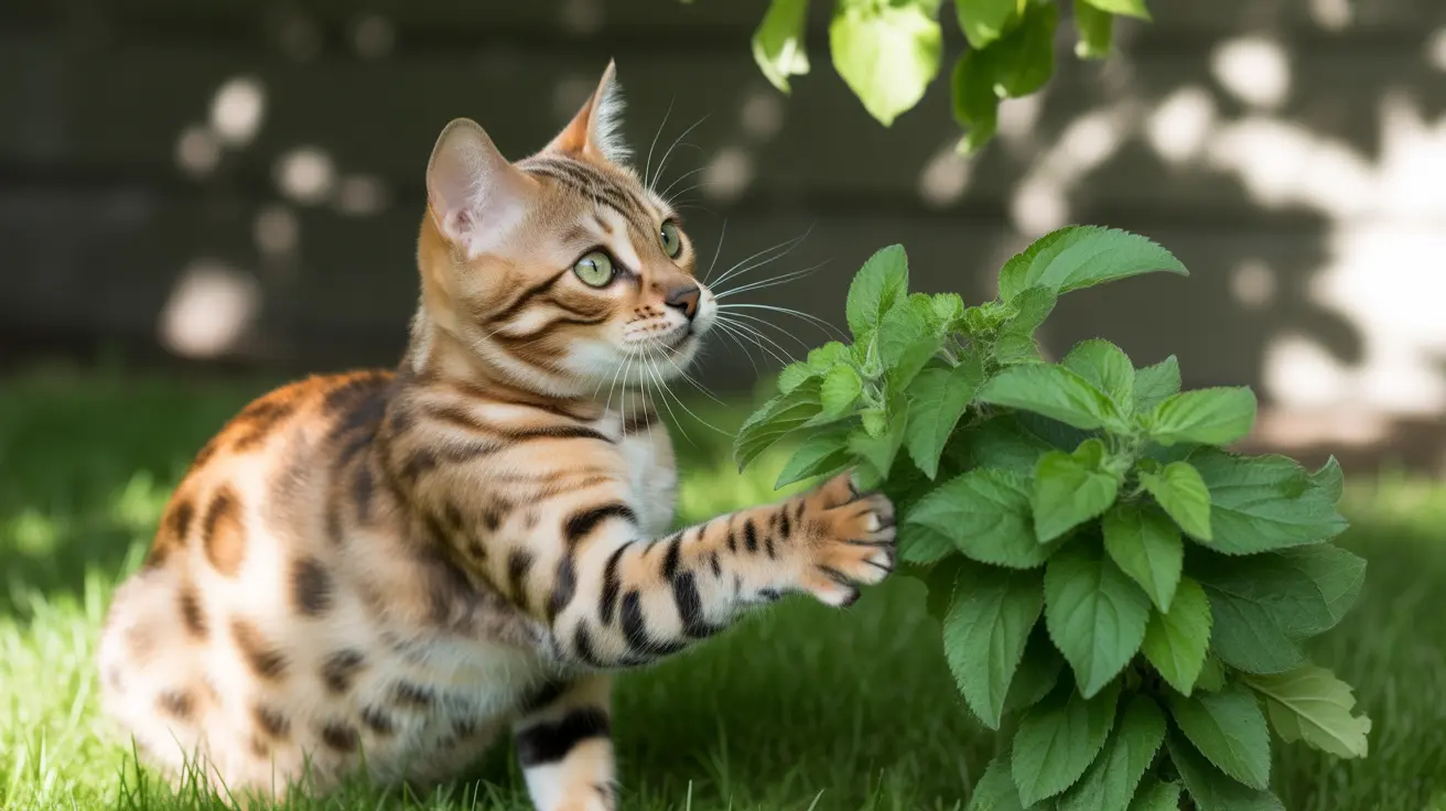 Hierbas seguras para gatos: guía completa de plantas aptas para felinos y sus beneficios