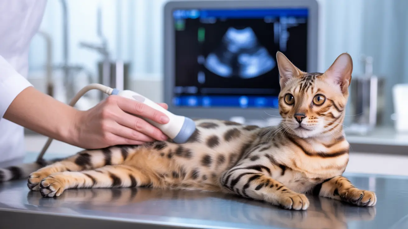 Understanding Vacuolar Hepatopathy in Cats: Causes, Symptoms, and Treatment