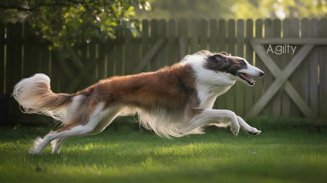 ボルゾイ犬：優雅なロシア原産ウルフハウンド徹底ガイド