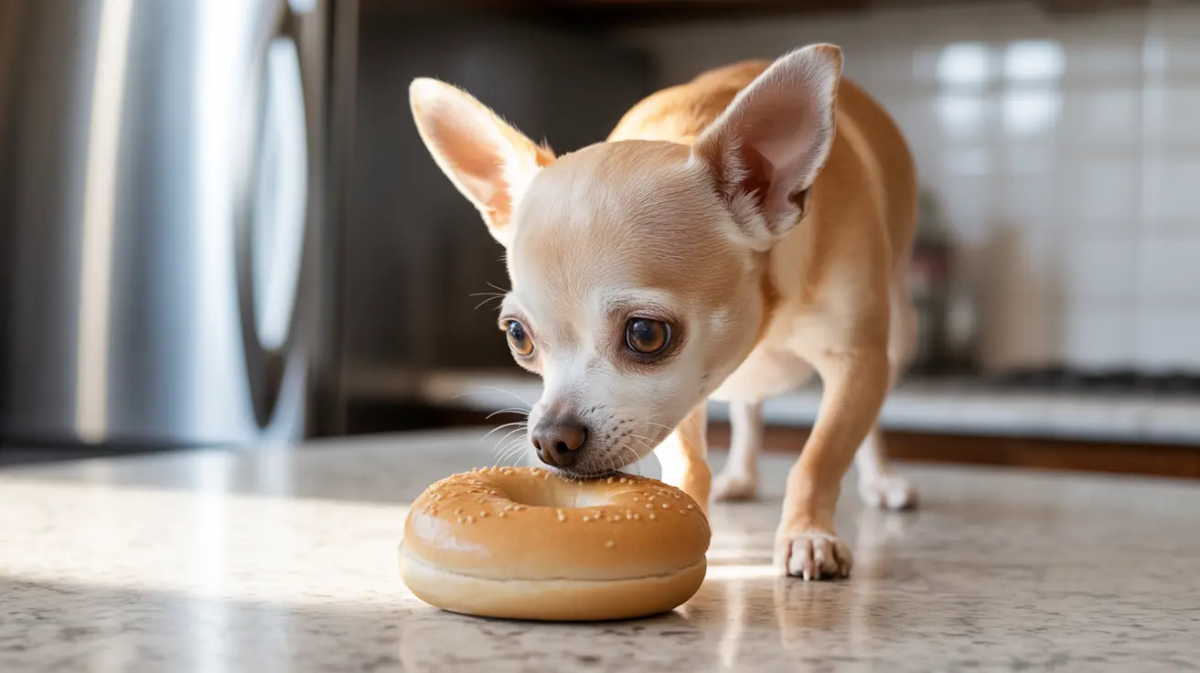 Can Dogs Eat Bagels? A Vet's Guide to Safety and Risks