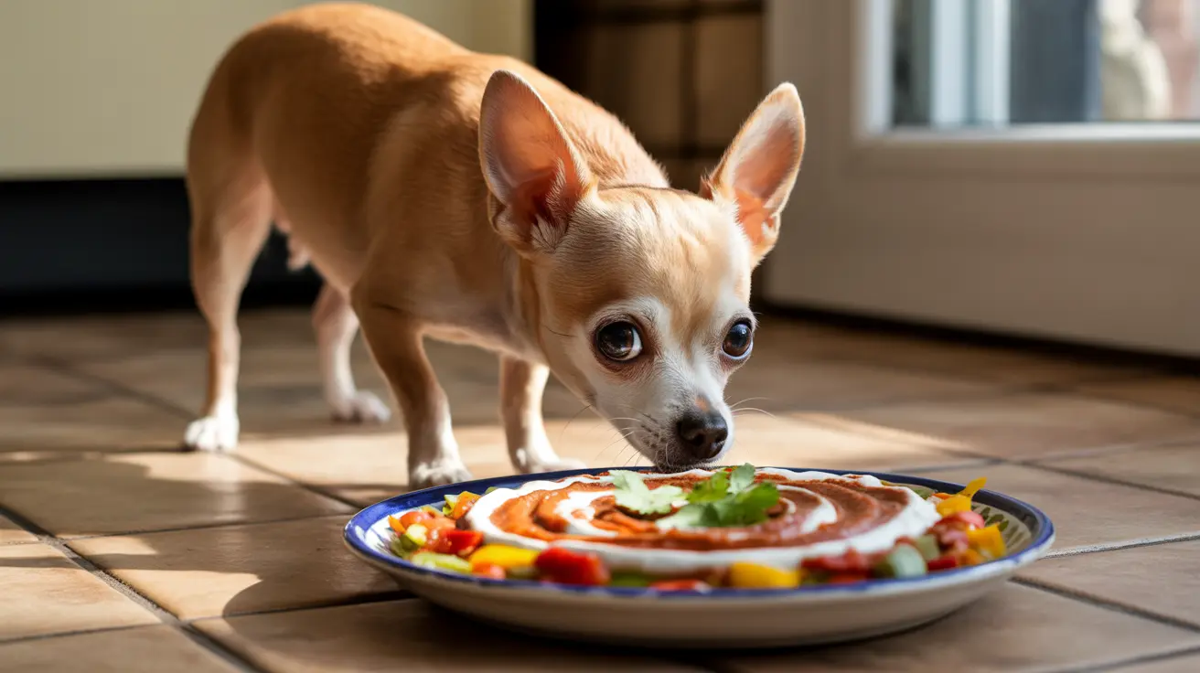 Can Dogs Eat Spicy Food? A Complete Guide to Keeping Your Pet Safe