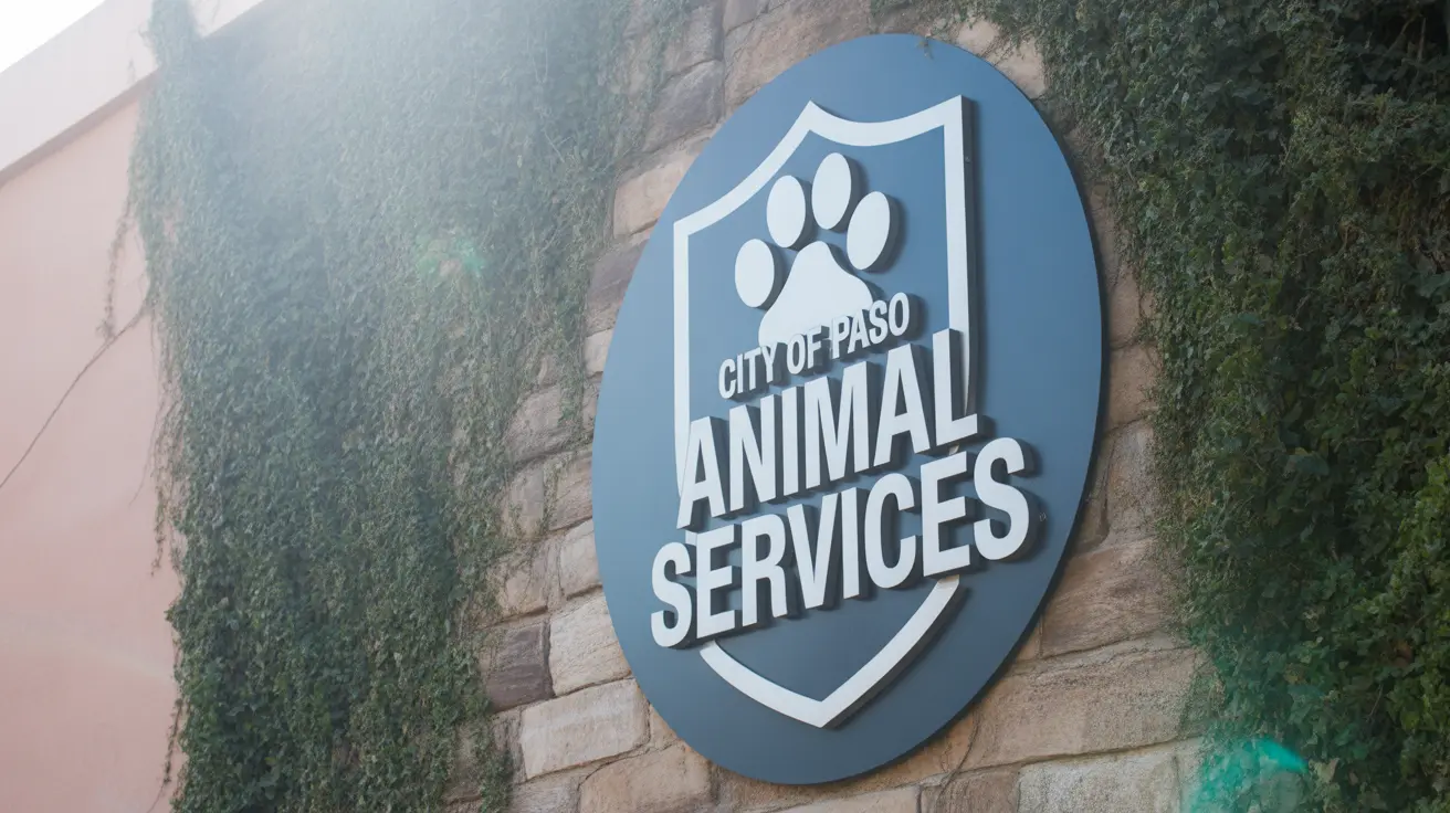 Recrutement d’un directeur des services animaliers à El Paso : engagement communautaire et gestion refuge pour animaux