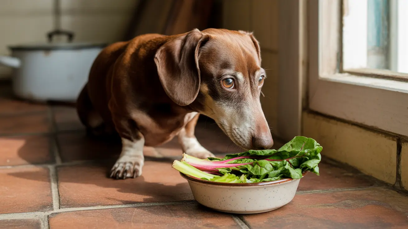 Can Dogs Eat Swiss Chard? A Complete Guide to Safety and Benefits