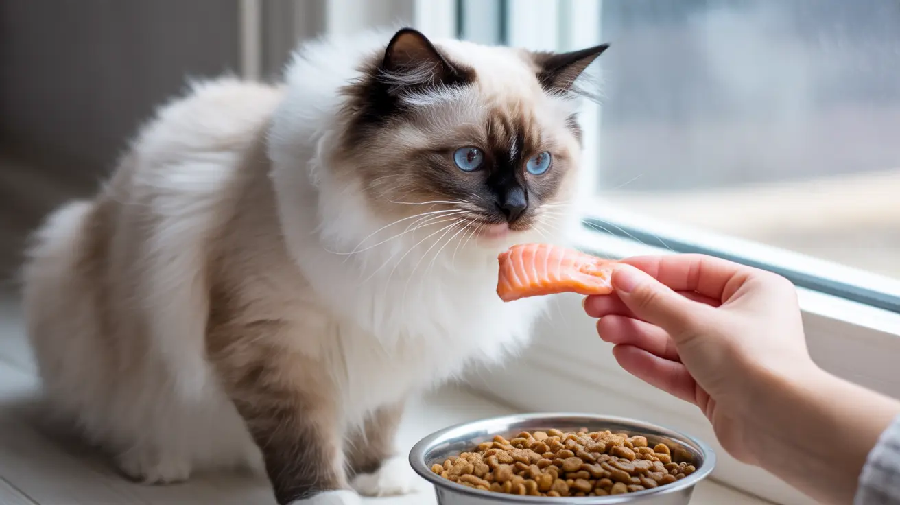 Entendiendo el cambio en los hábitos alimenticios de tu gato