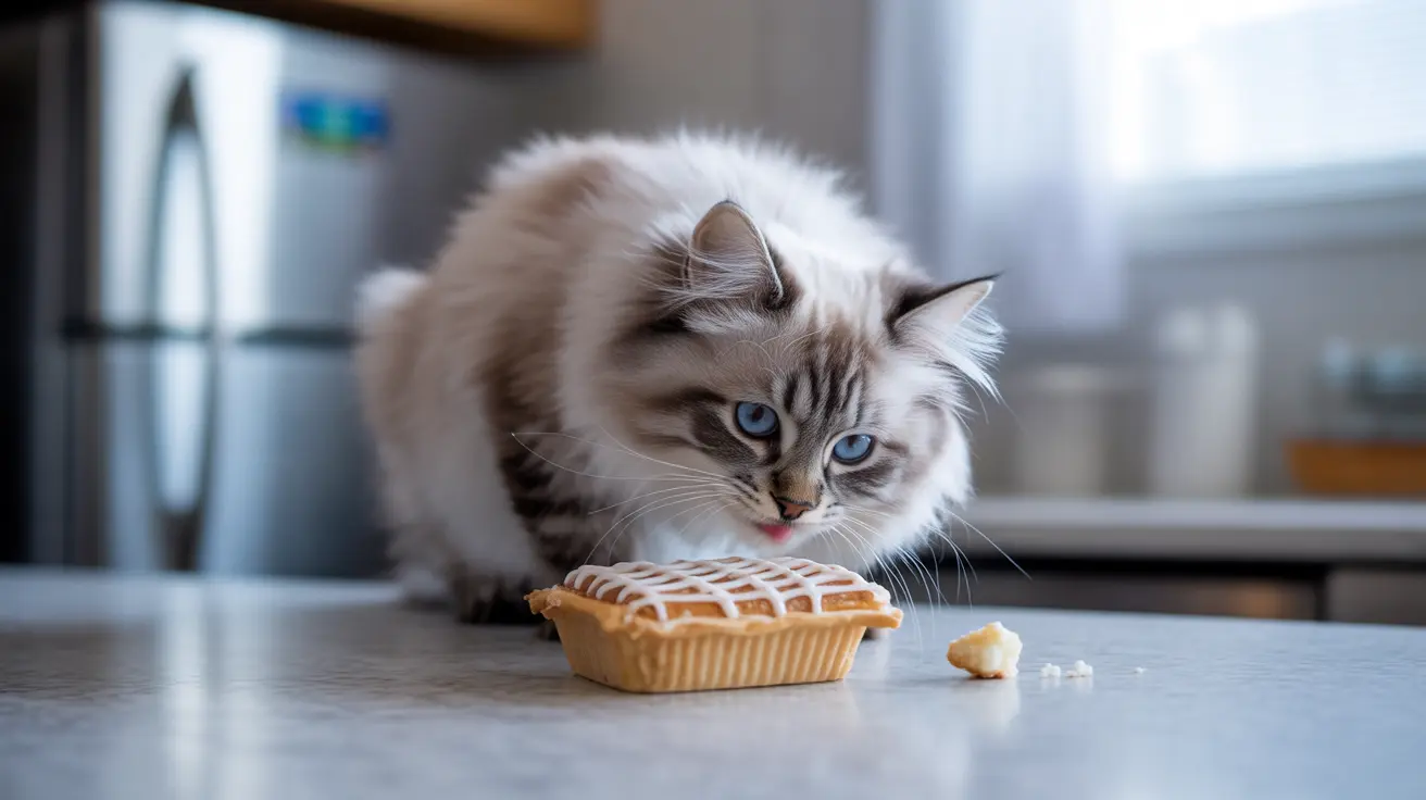 Les Pop-Tarts sont-elles dangereuses pour les chats ?