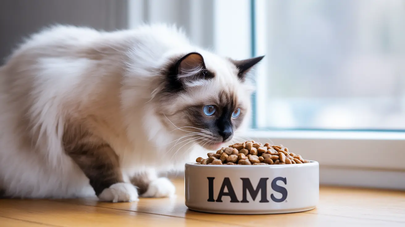 IAMS vs Purina One: Guía completa de comparación de alimentos para gatos