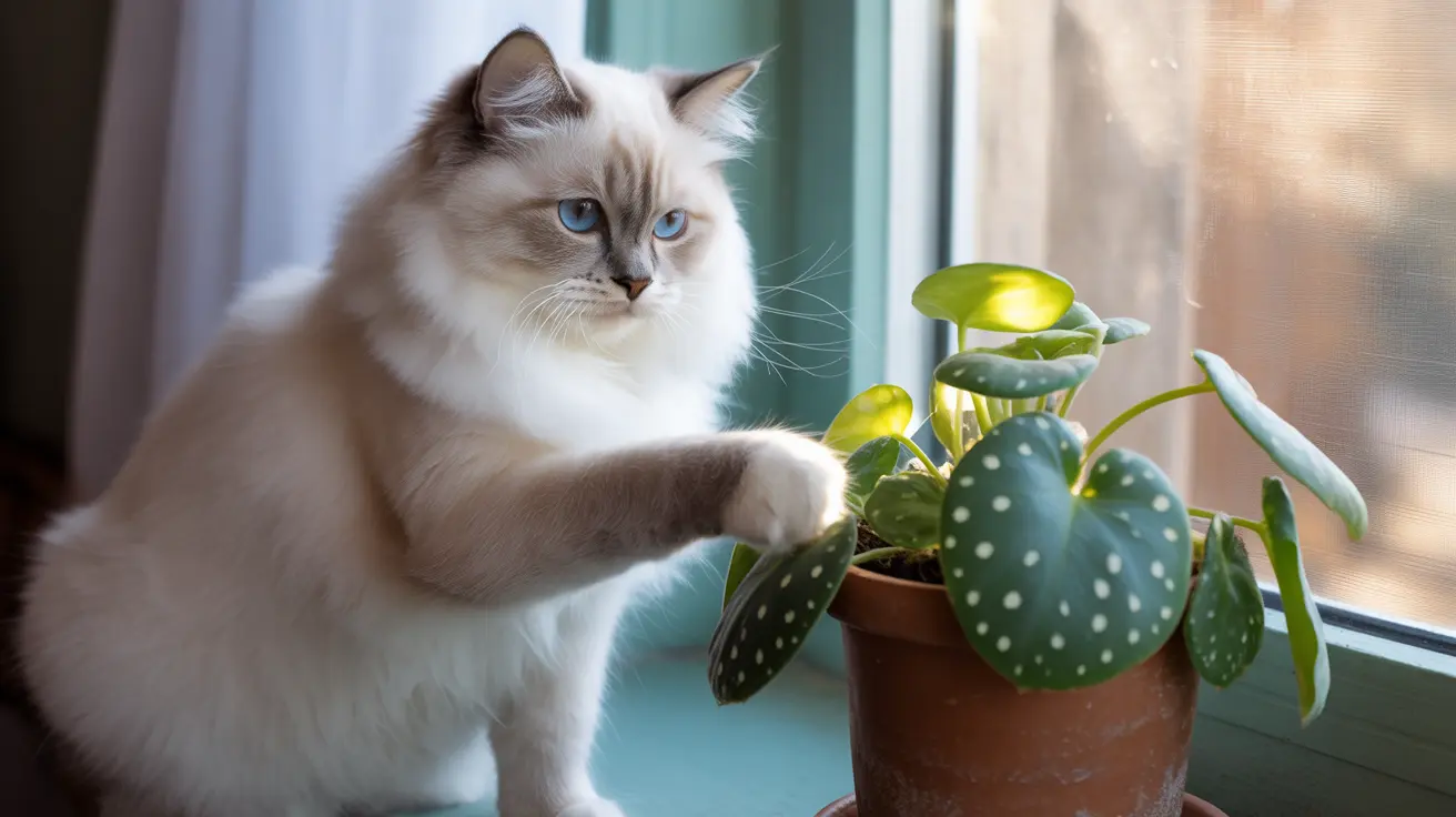 Plante à pois et chats : danger ou sécurité ?