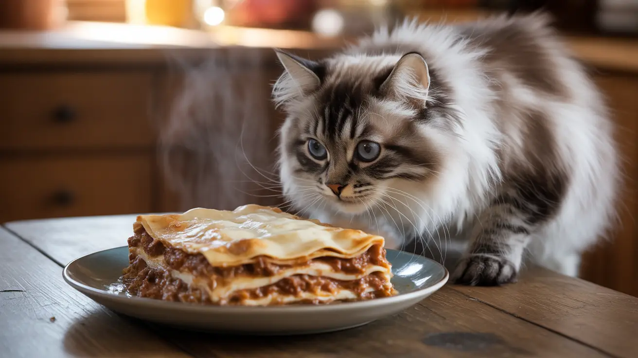Les dangers des ingrédients de la lasagne pour les chats
