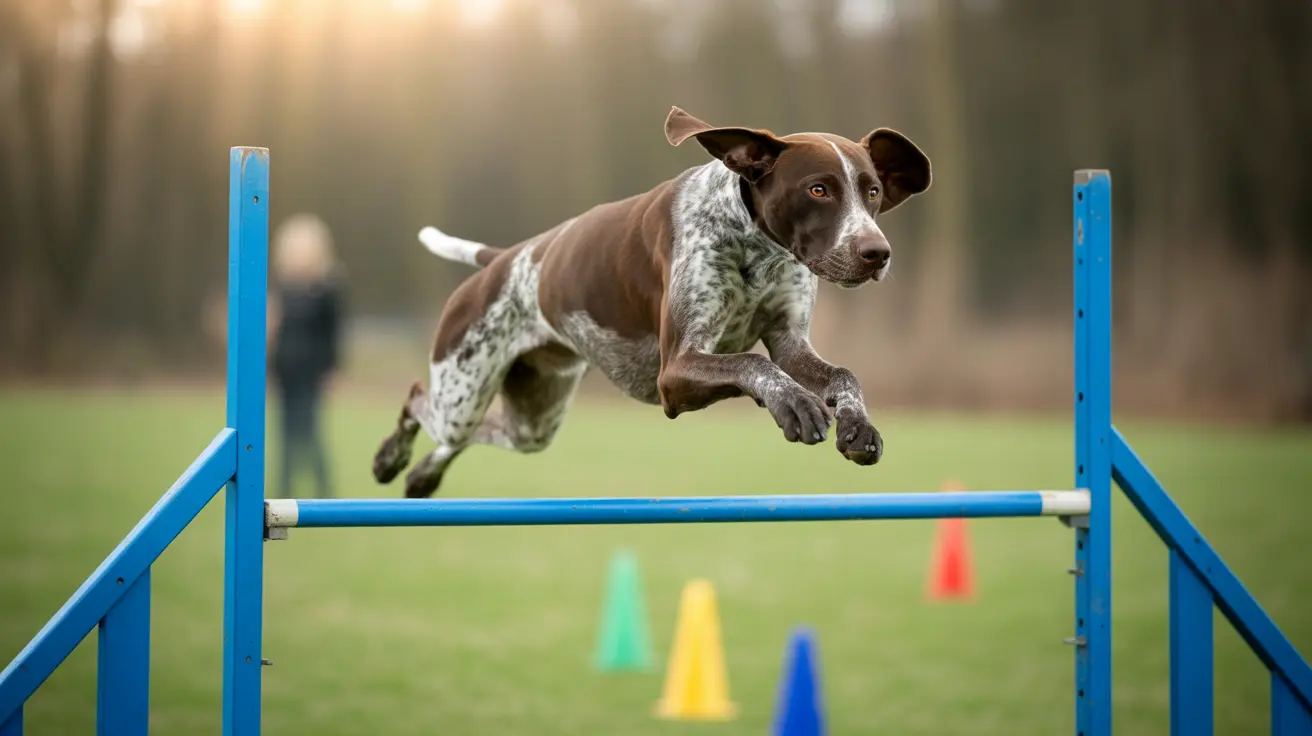 ジャーマン・ショートヘアード・ポインター：多才な狩猟犬究極ガイド