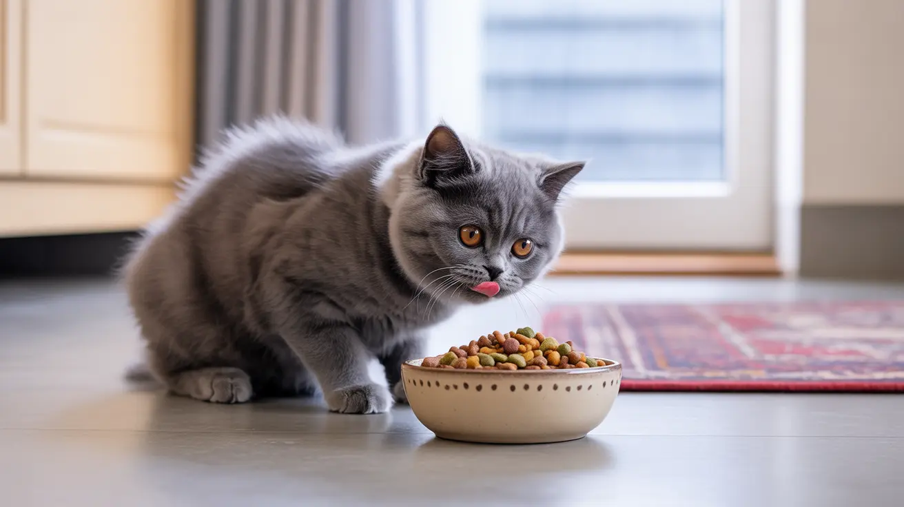 Comprendre les différences nutritionnelles entre nourriture chaton et chat adulte