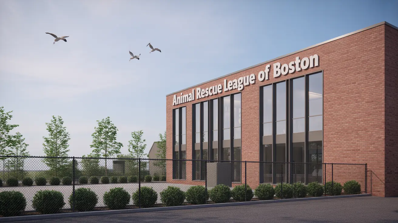 Vista externa do prédio da Animal Rescue League of Boston com gaivotas voando sobre a cabeça