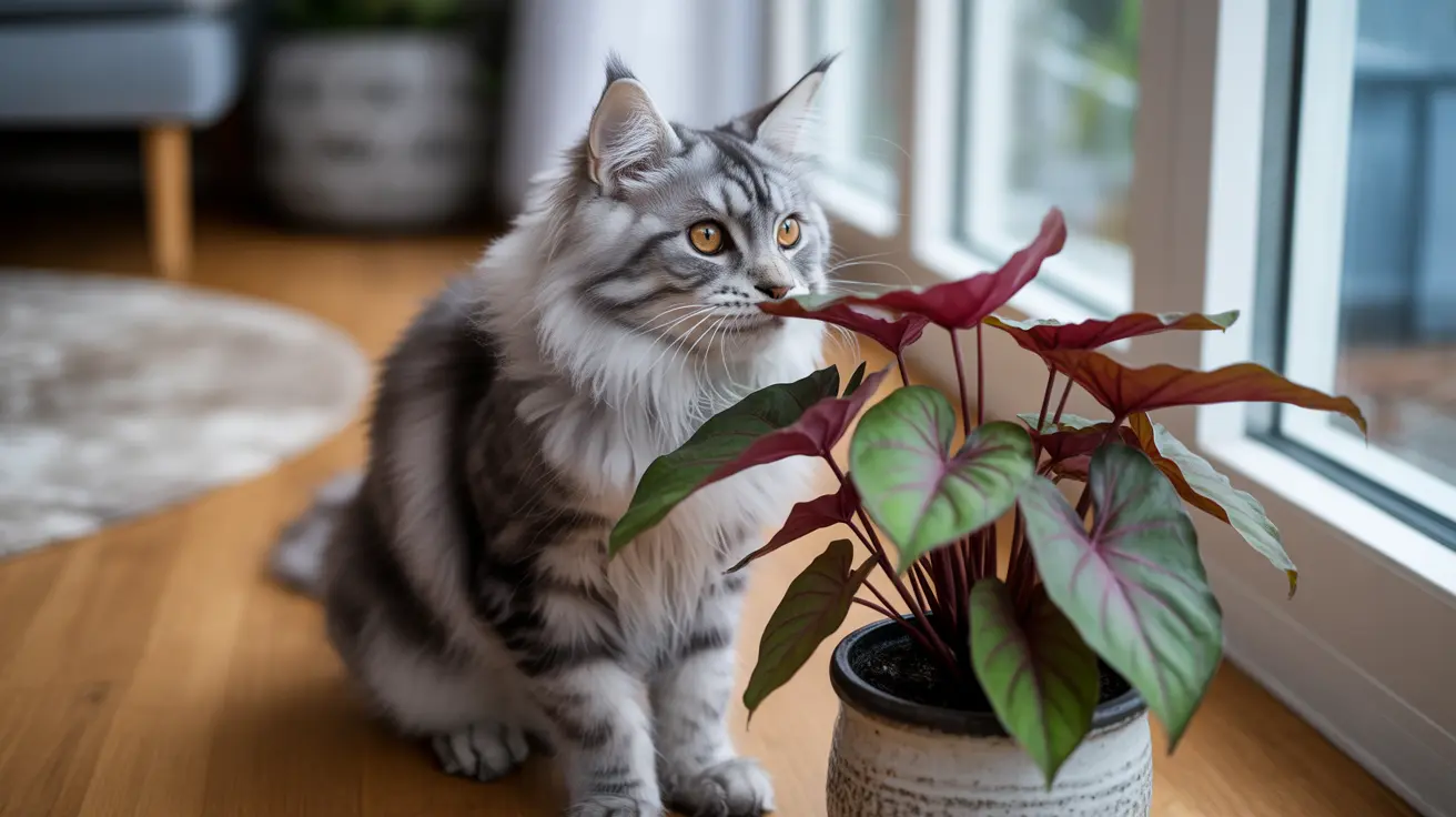 Comprendiendo la toxicidad del caladio en gatos