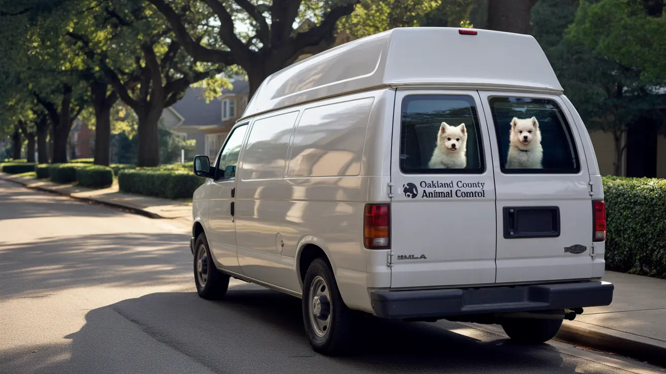 Twenty-four rescued dogs and cats being cared for after an animal neglect rescue