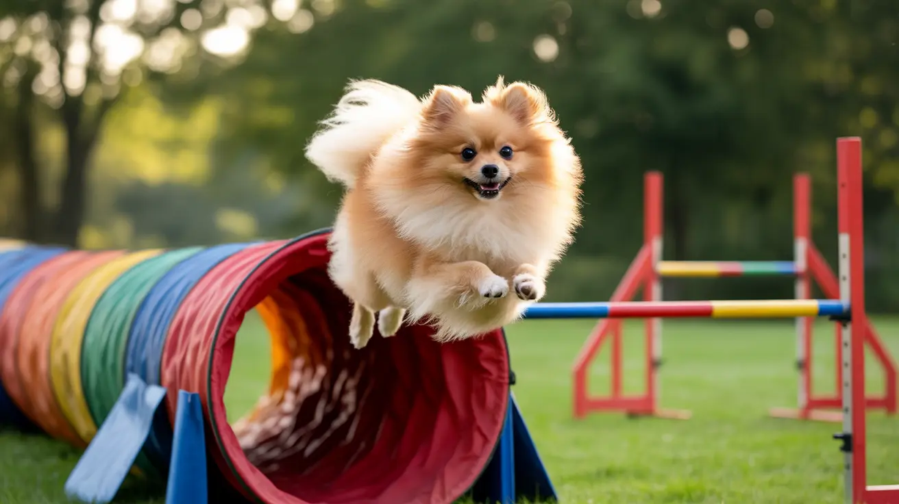 Essential Guide to Maintaining a Healthy Pet Weight: Prevention, Management, and Long-Term Health