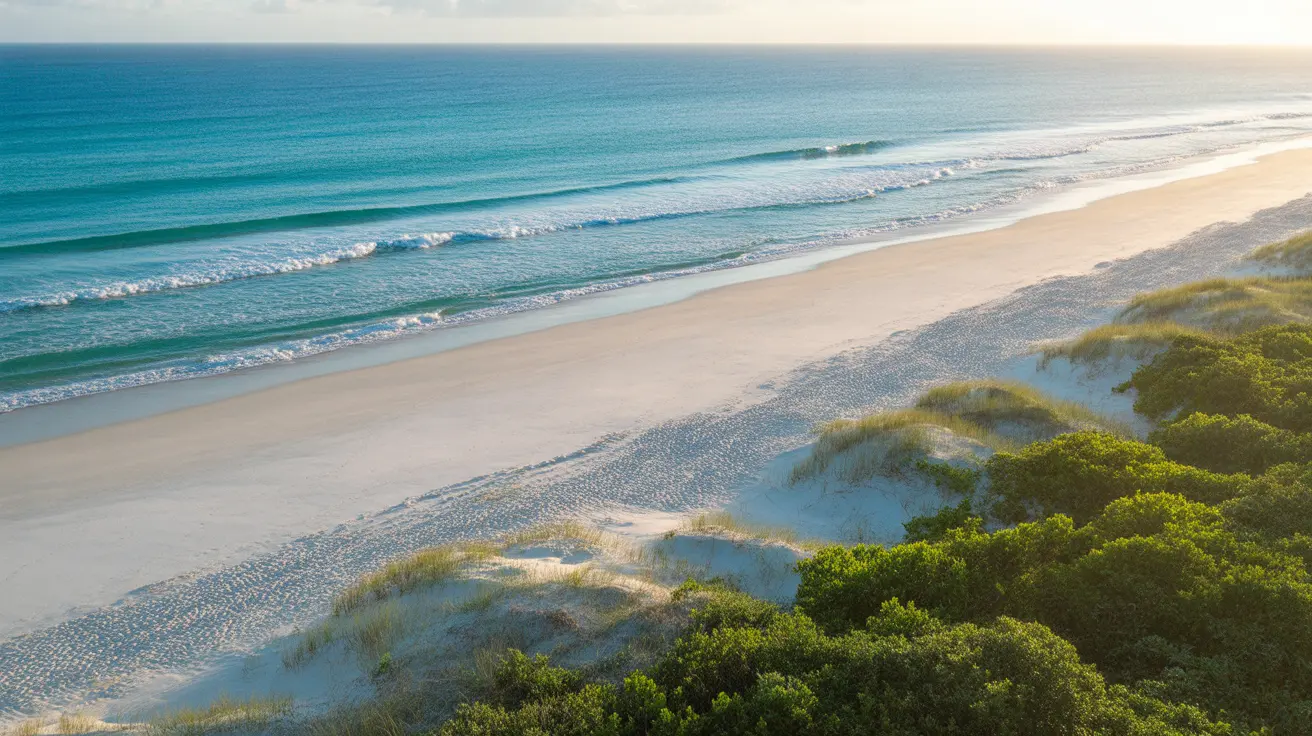Predator-proof fence on Kangaroo Island protecting native wildlife from feral cats