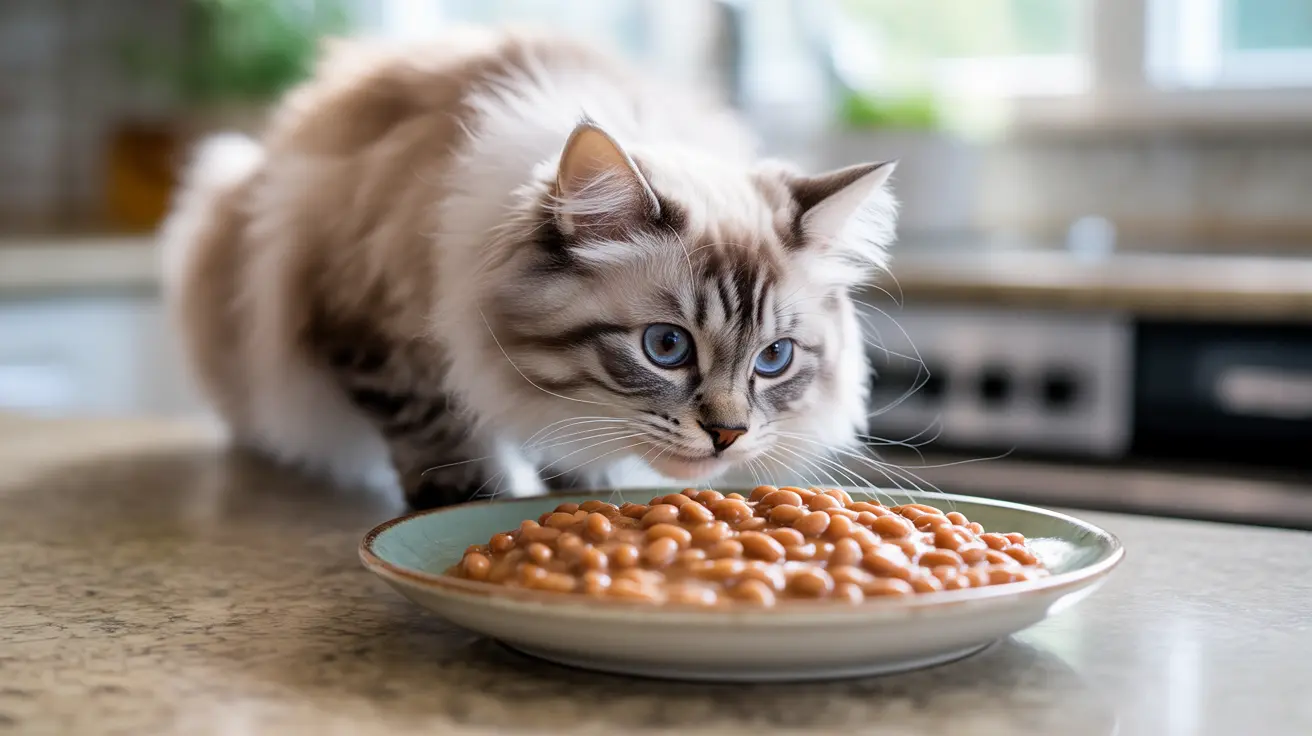 猫は焼き豆を食べても大丈夫？安全性とリスクの完全ガイド