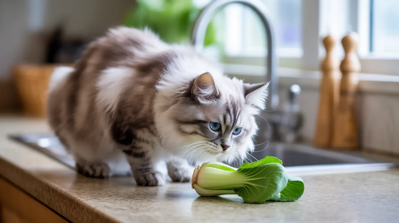 猫はチンゲンサイを食べても大丈夫？安全性とメリット完全ガイド