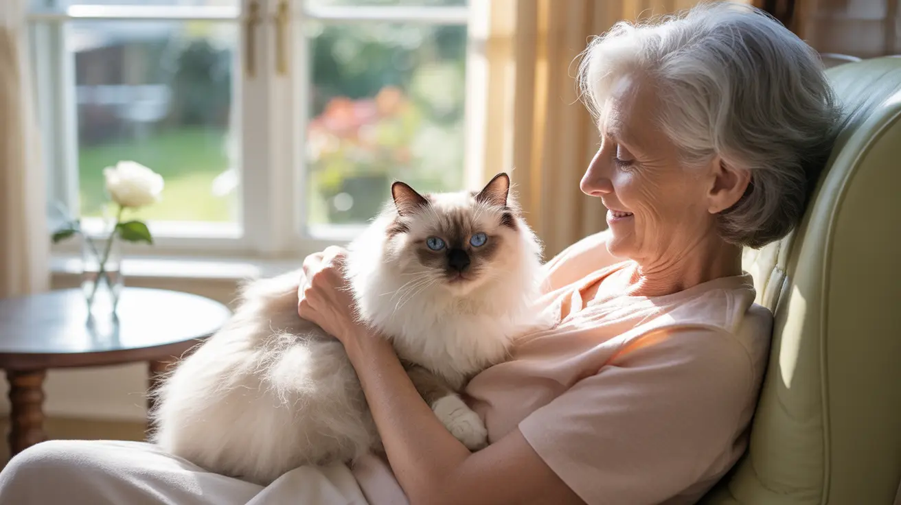 A fluffy white and cream Ragdoll cat with striking blue eyes being held by an elderly woman in a cozy living room