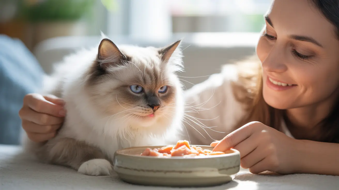 ¿Por qué a los gatos les gusta que los acaricien mientras comen? Entendiendo el comportamiento felino a la hora de comer