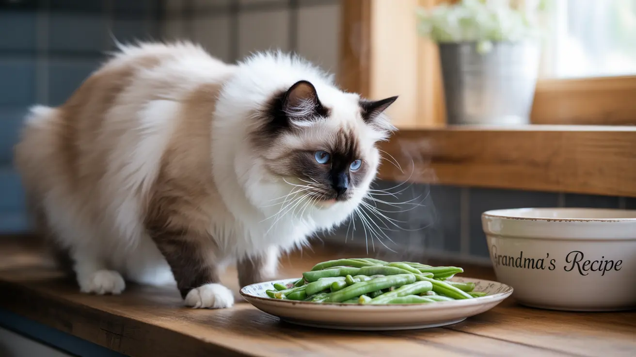 La verdad sobre las judías verdes enlatadas y los gatos